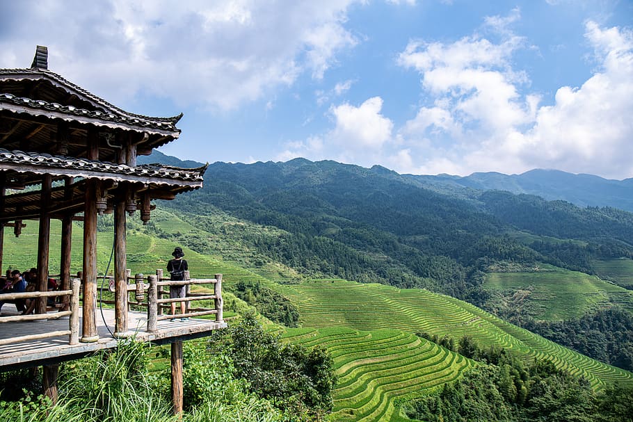 terraced fields, sunrise, travel, landscape, china, guilin, mountain, scenics - nature, cloud - sky, beauty in nature