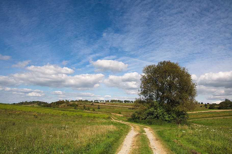 green, grass field, white, blue, Landscape, Poland, Clouds, Sky, krakow-czestochowa upland, way