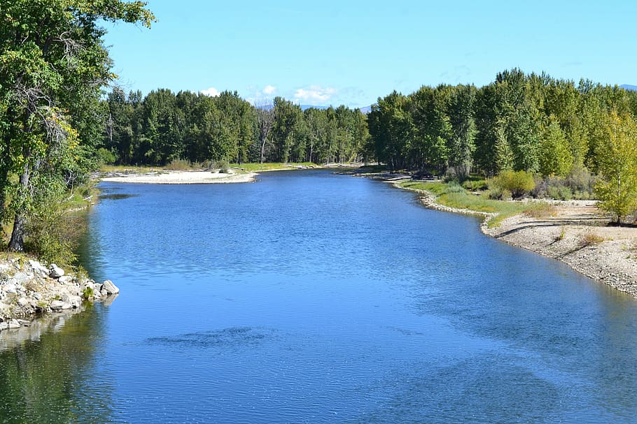 Río Amargo, Hamilton, Montana, planta, árbol, agua, escena tranquila, tranquilidad, belleza en la naturaleza, paisajes - naturaleza