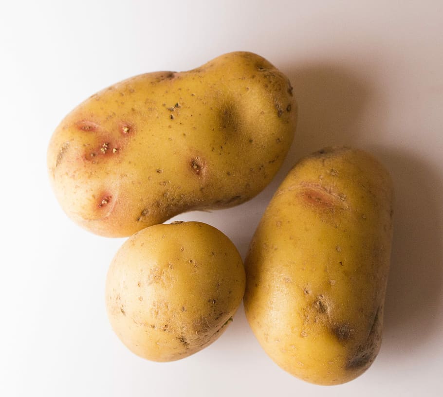 Potato, Food, Vegetable, Fresh, potatoes, organic, healthy, starch, plant, harvest
