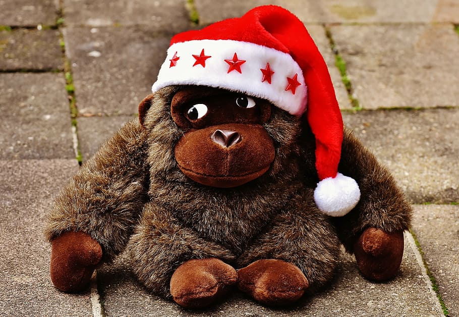 christmas, santa hat, stuffed animal, soft toy, monkey, gorilla, representation, stuffed toy, toy, animal representation