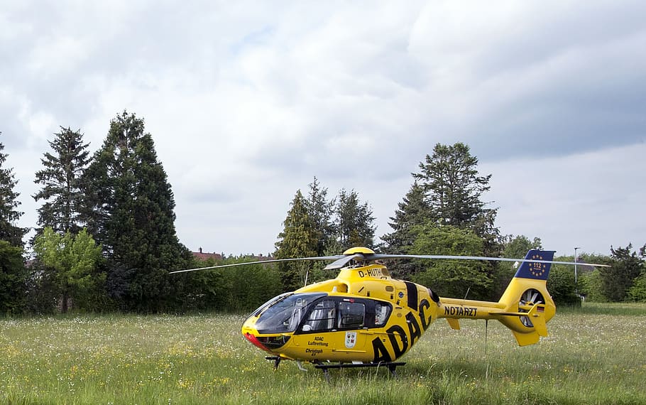 rescue helicopter, doctor on call, meadow, adac, plant, tree, sky, land, nature, cloud - sky