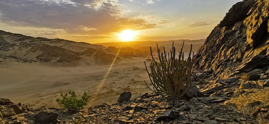 Afrika, namibia, skeleton coast, pasir, kering, safari, langit, offroad, matahari terbit, perjalanan