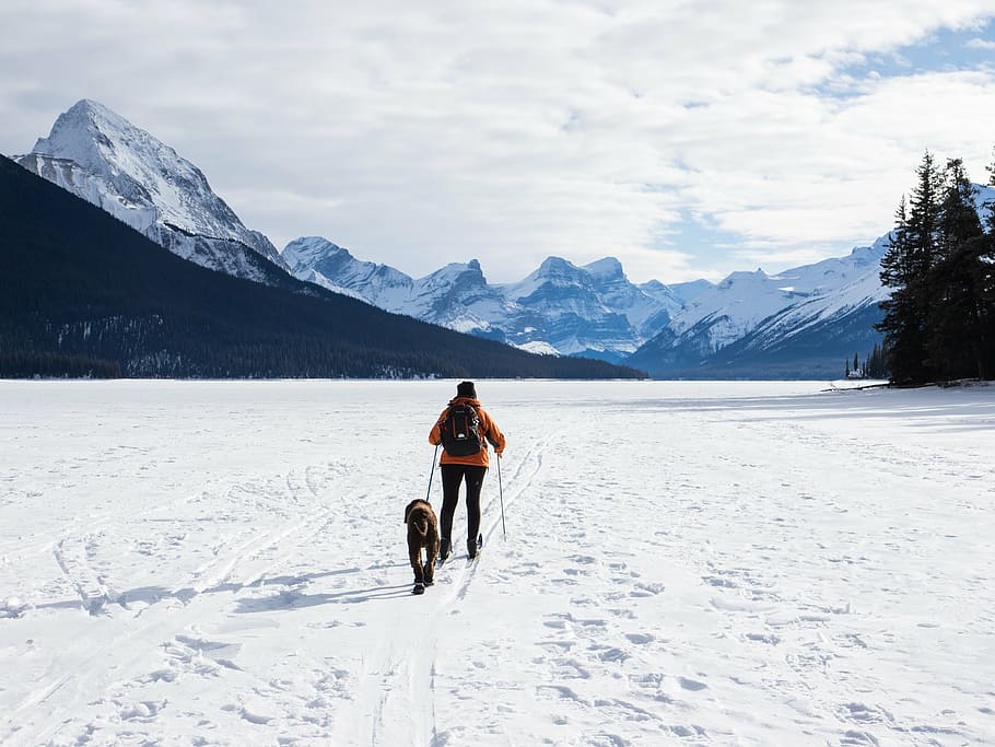 person, holding, leash, dog, walking, snow field, daytime, snow, winter, white