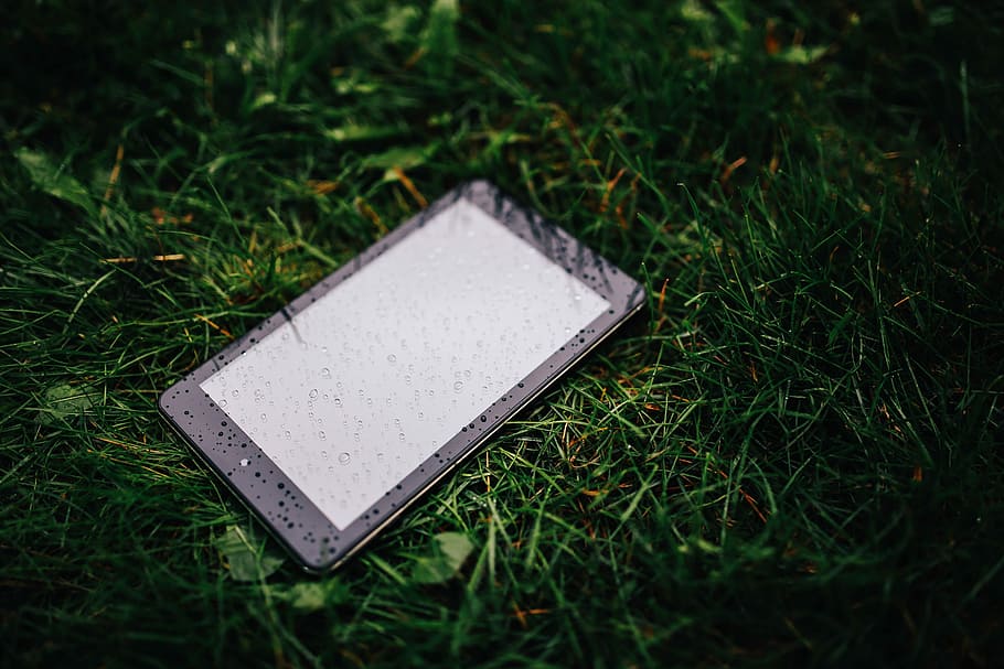 tableta negra mojada, mojado, negro, tableta, lluvia, gota de agua, rocío, hierba, al aire libre, ninguna gente