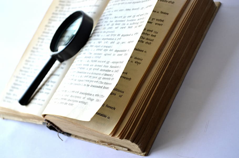 opened, book, magnifying, glass, magnifying glass, loupe, lookup, find, search, read