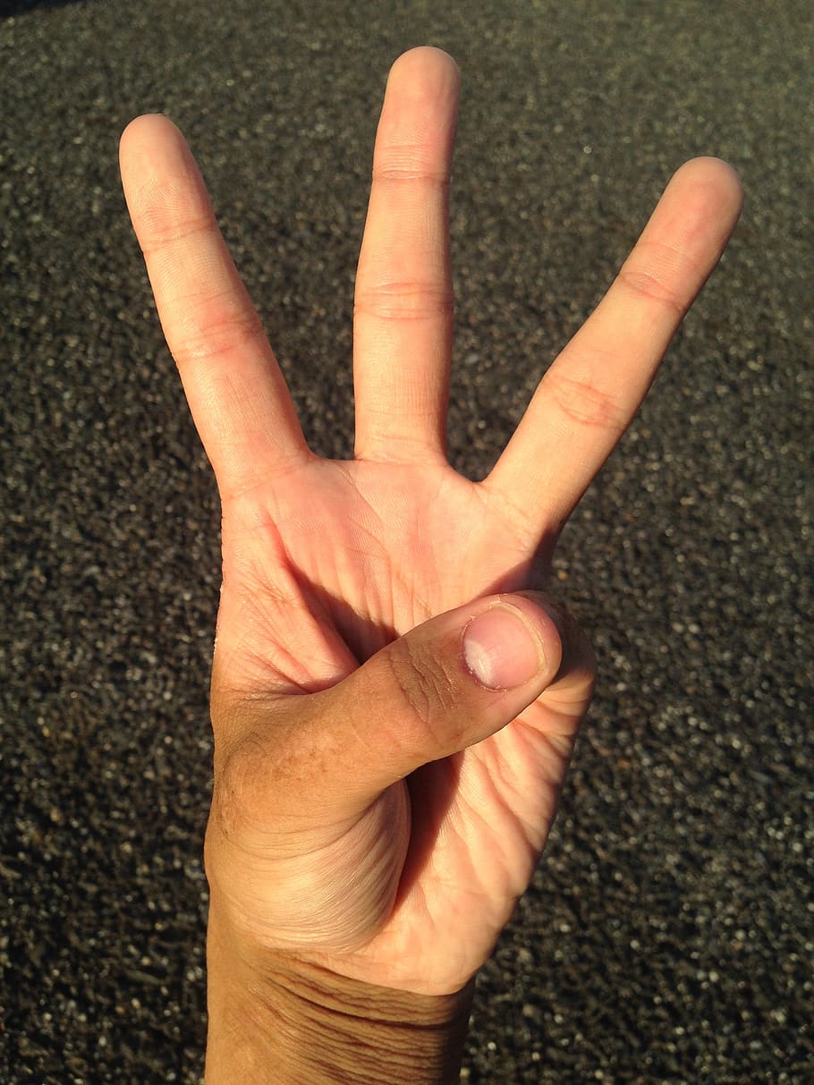 palma, mão, dedo, unha, jovem, japonês, pessoas, corpo, partes, saúde