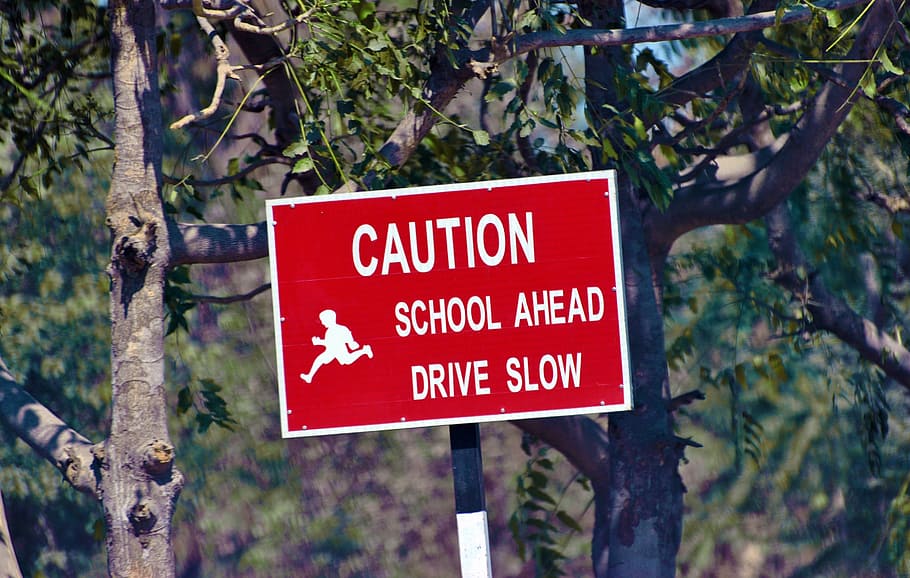 caution, sign board, warning, school ahead, sign, board, ahead, signs, school, symbol