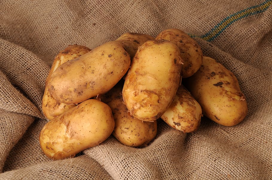 potato, fresh, food, organic, harvest, uncooked, gourmet, delicious, vegetable, sack