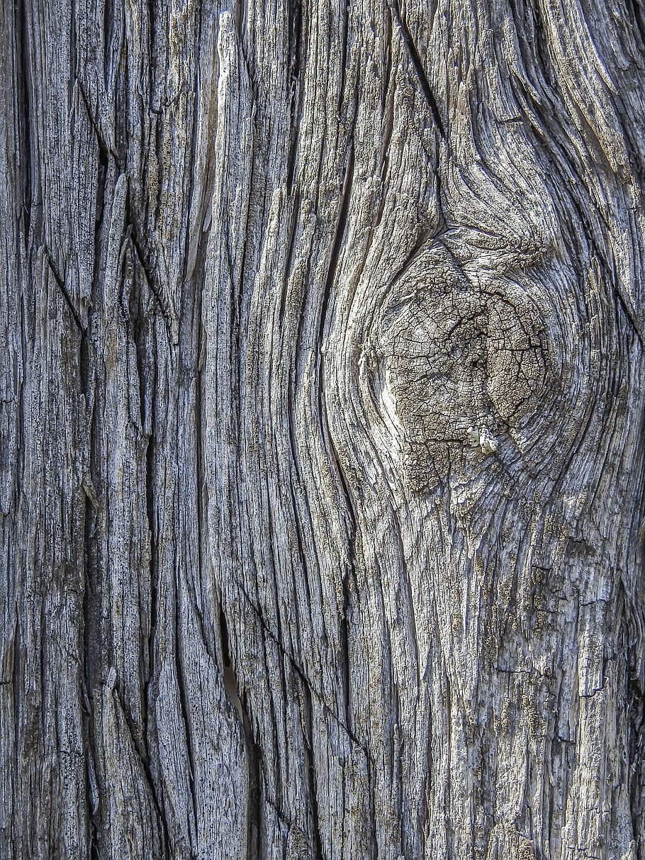 灰色の木の樹皮, 背景, 木材, 古い, 木材の背景, テクスチャ, パターン, 素材, 木製, 板