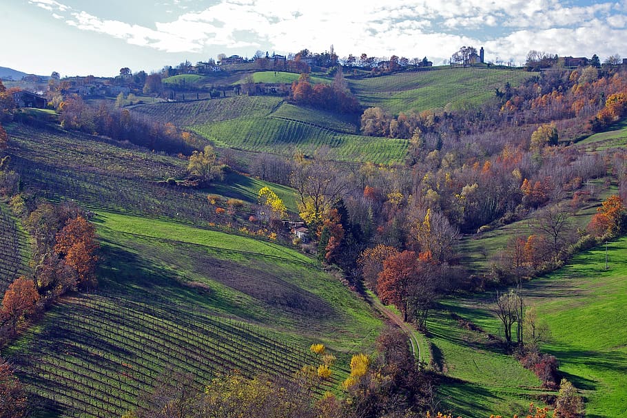 langhirano, parma, emilia romagna, italia, kebun anggur, bukit langhirano, bukit parma, kampanye, musim gugur, lanskap