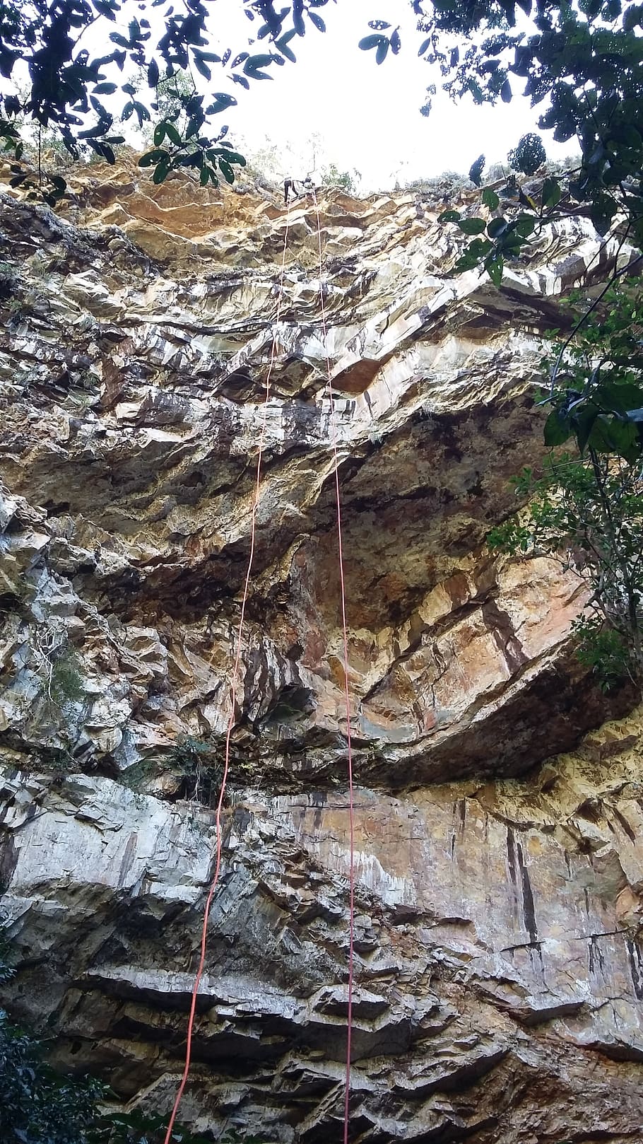 abseiling, hole, slit, tree, plant, nature, day, rock, low angle view, rock - object