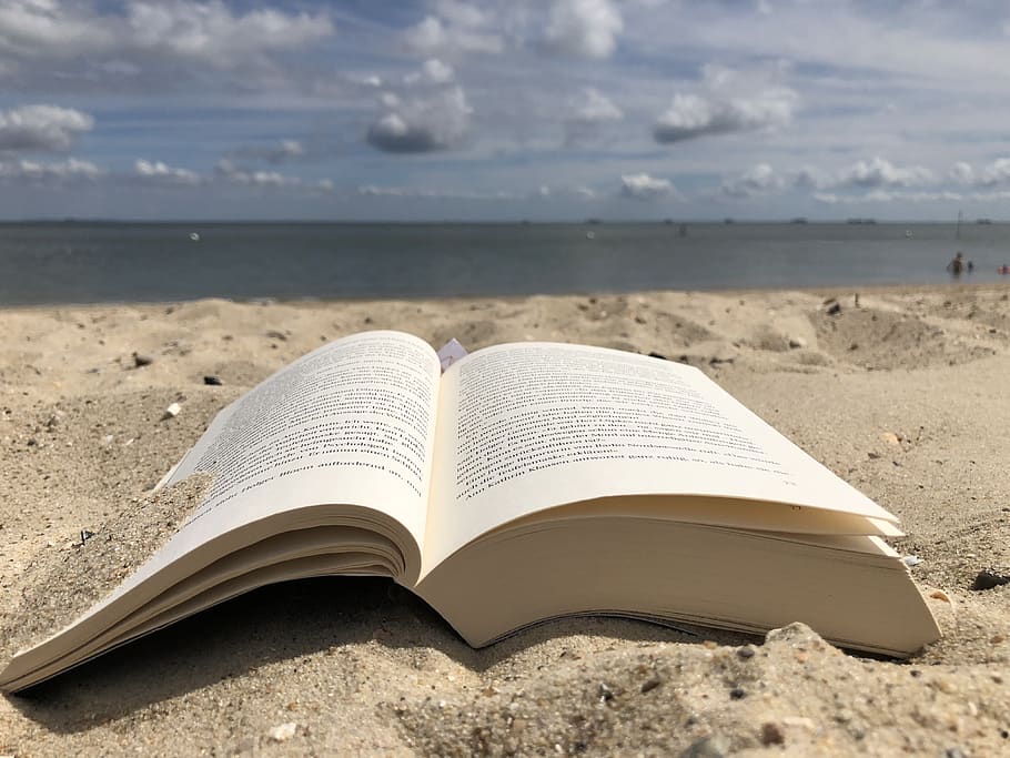 book, beach, s, summer, water, sky, coast, relax, literature, publication