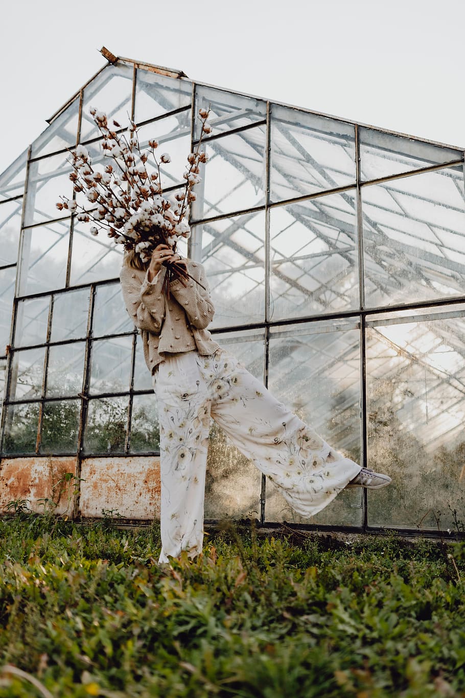 cotton, branches, woman, outdoor, nature, glasshouse, natural, farm, beautiful, tall
