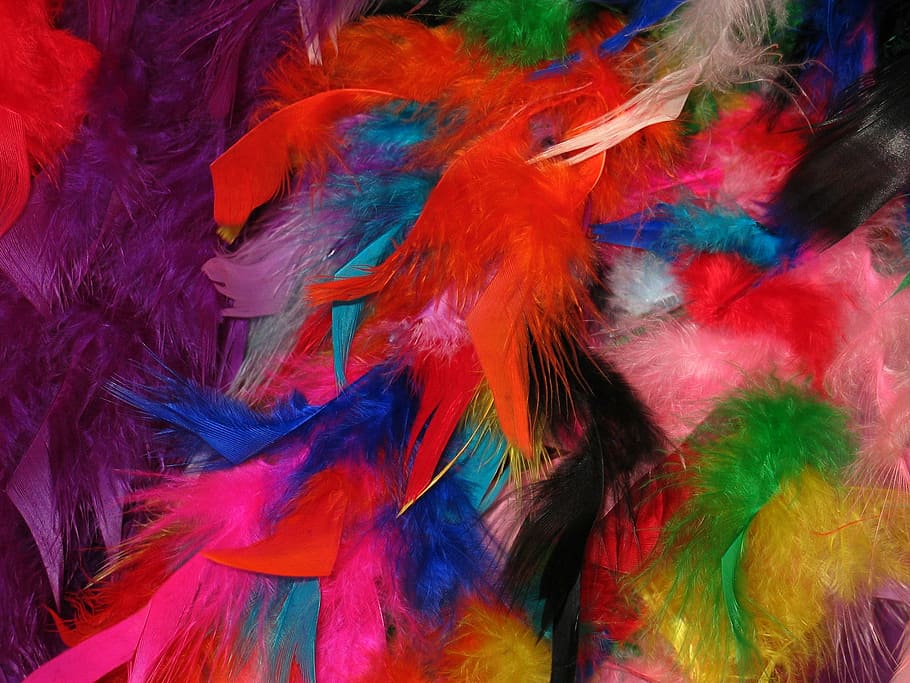 pena, penas coloridas, carnaval, estolas, coloridos, plano de fundo, cor, brilhante, pena de pássaro, padrão