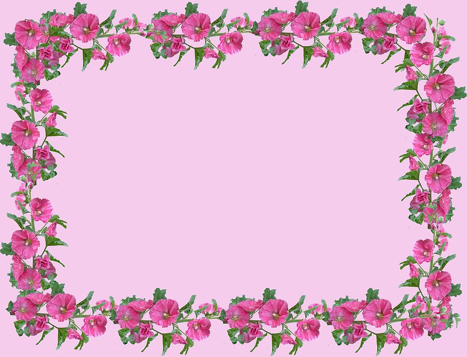 flower, flora, desktop, leaf, picture frame, plant, pink color, flowering plant, nature, frame