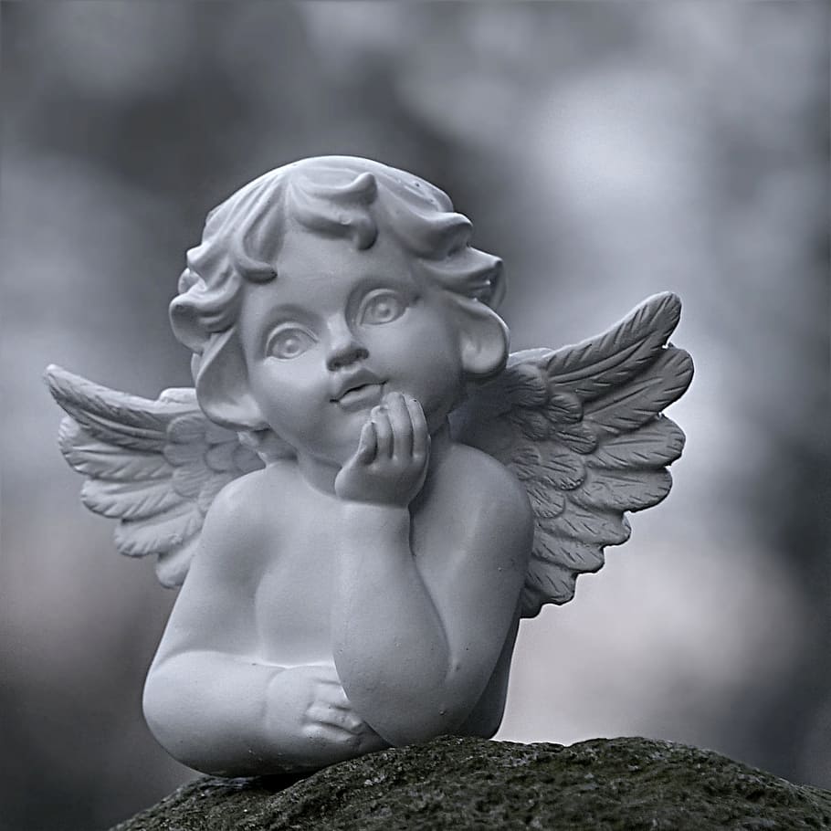 grayscale photo, cherub statuette, Angel, Figure, Deco, Cemetery, sitting, statue, sculpture, cherub