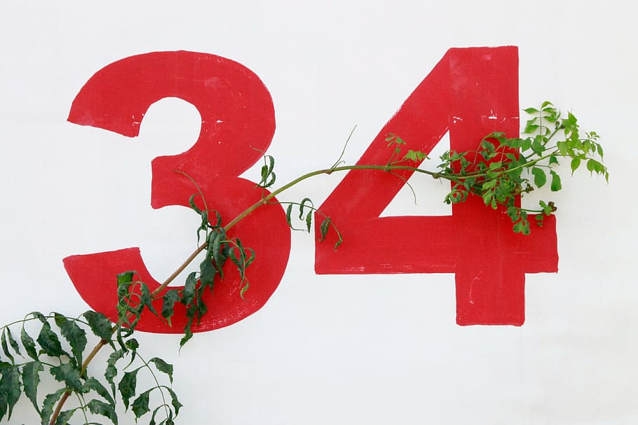 green vine plants, green, plants, print, illustration, white, wall, numbers, branch, leaves