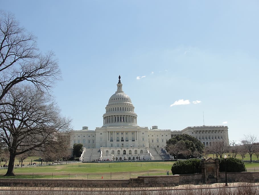 united states, washington, capitol, america, the view of the capitol, american parliament, architecture, built structure, sky, government