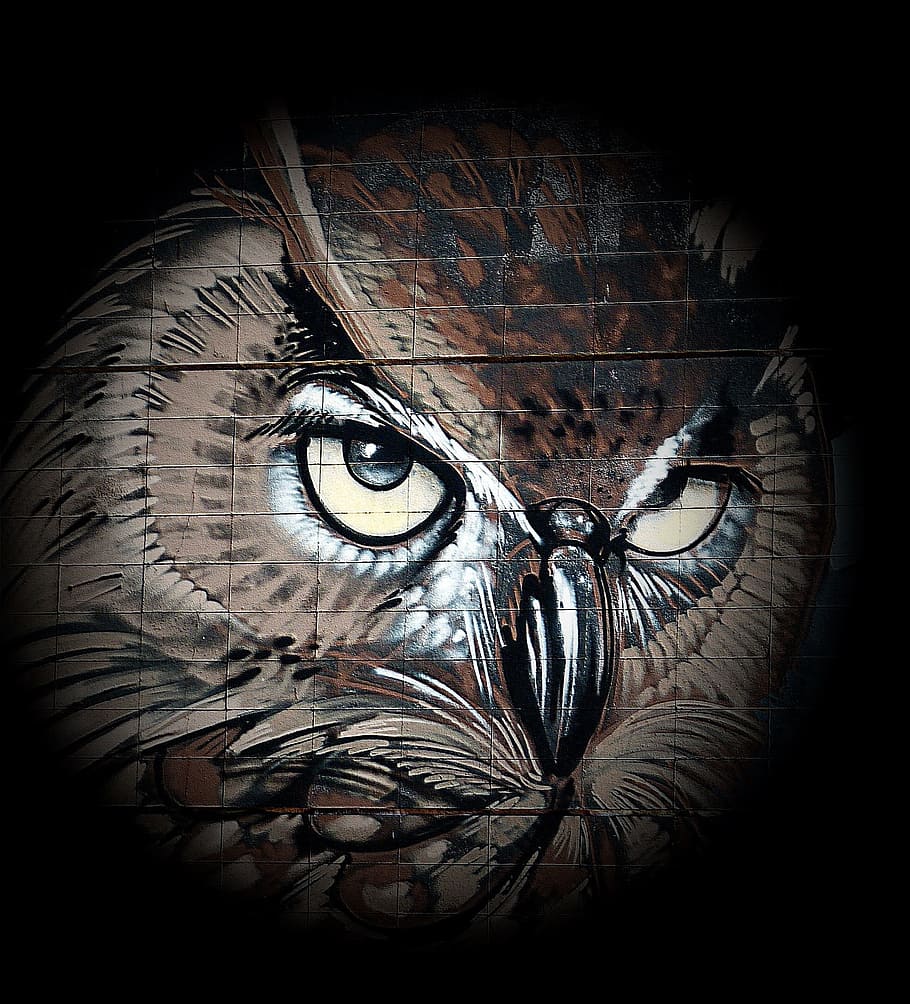 Drawing, Bird, Eagle Owl, owl, art, animals, wildlife photography, feather, wild bird, eyes