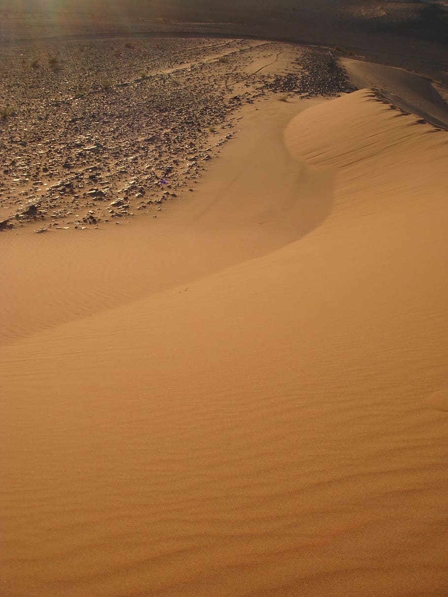 砂丘, サハラ砂漠, 砂漠, 乾燥, 砂, 乾燥した気候, 自然, 風景, 土地, 静けさ