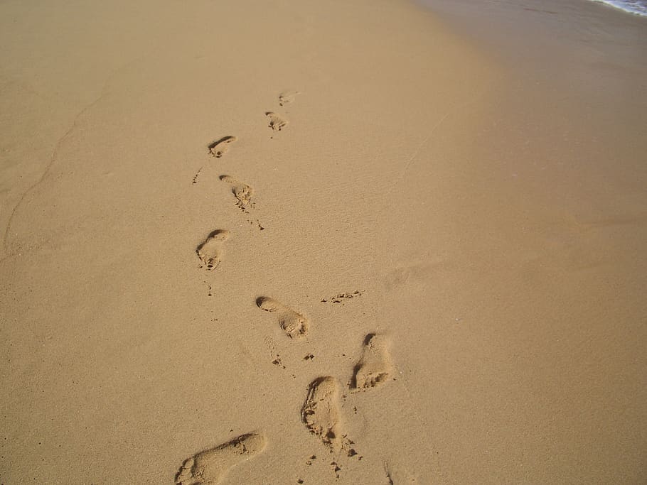 footprints, sand, beach, shoreline, foot, summer, walk, vacation, travel, coast