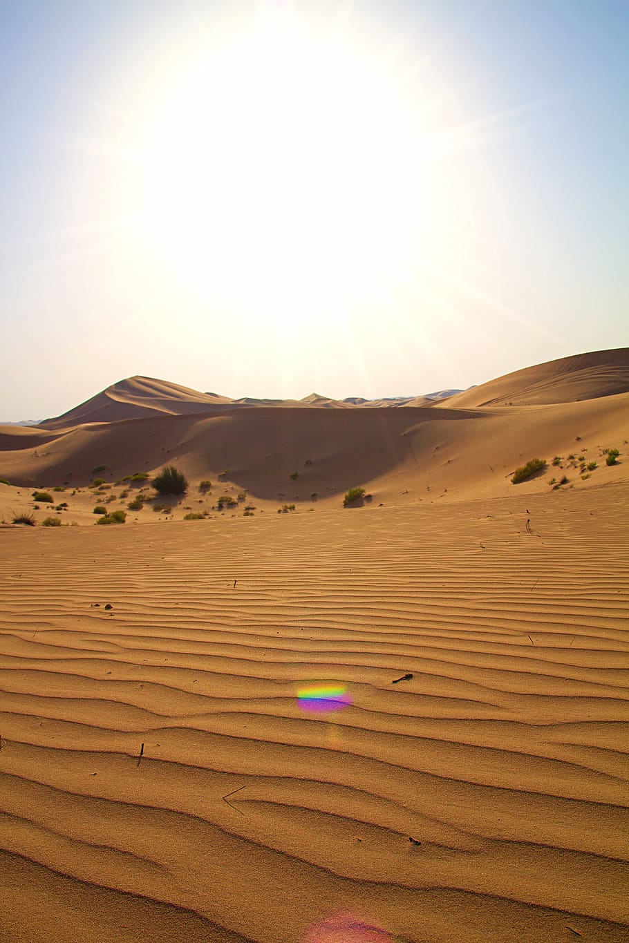abu dhabi, emirates, desert, arabic, orient, uae, sand, dunes, beach, sand dune