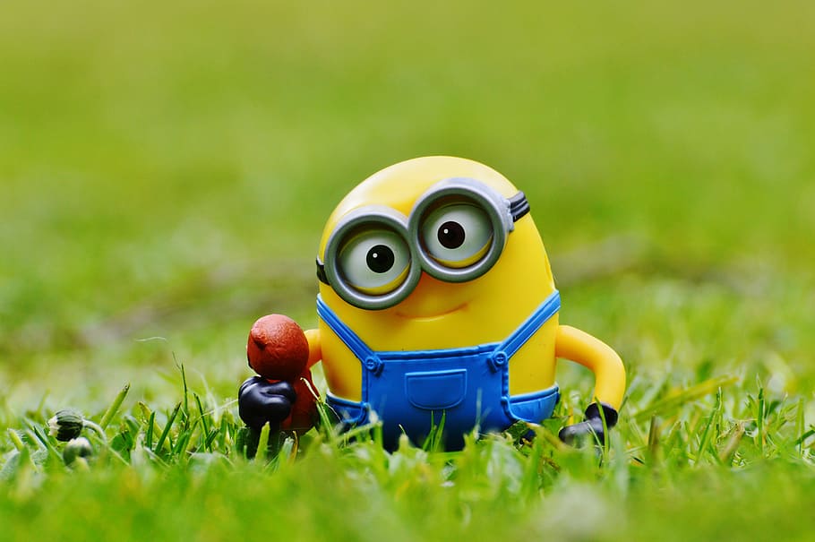 minion, funny, meadow, bears, cute, toys, children, figure, yellow, toy