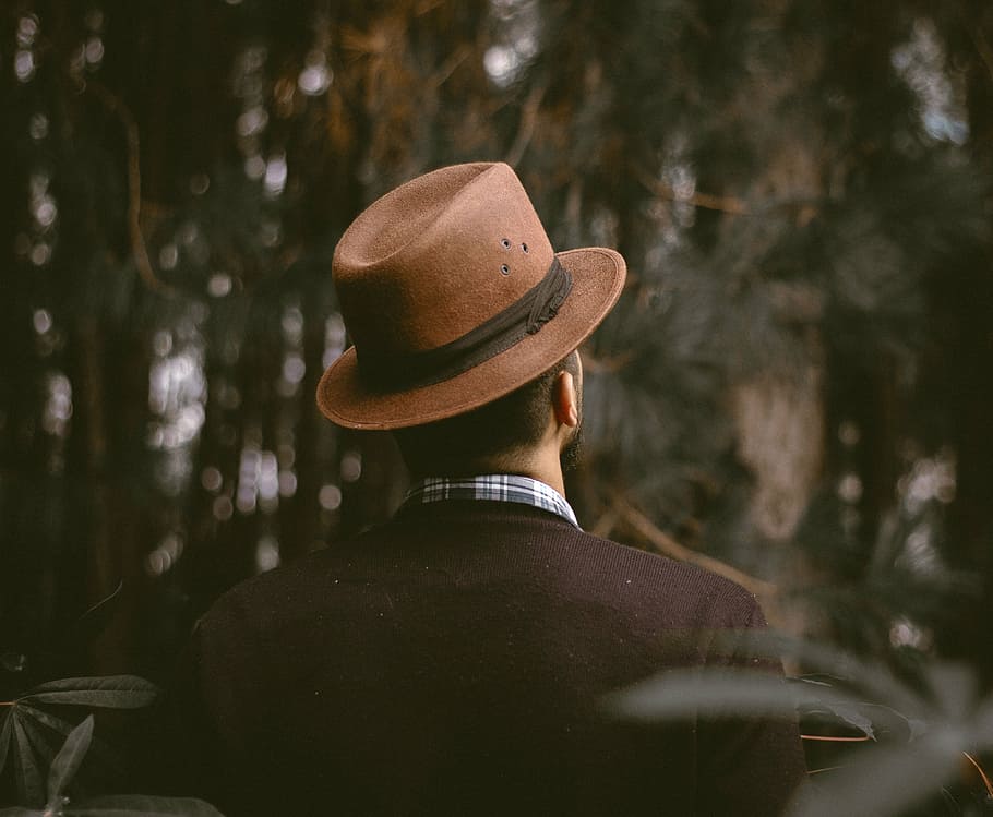 man, wearing, brown, fedora hat, people, formal, nature, woods, forest, men