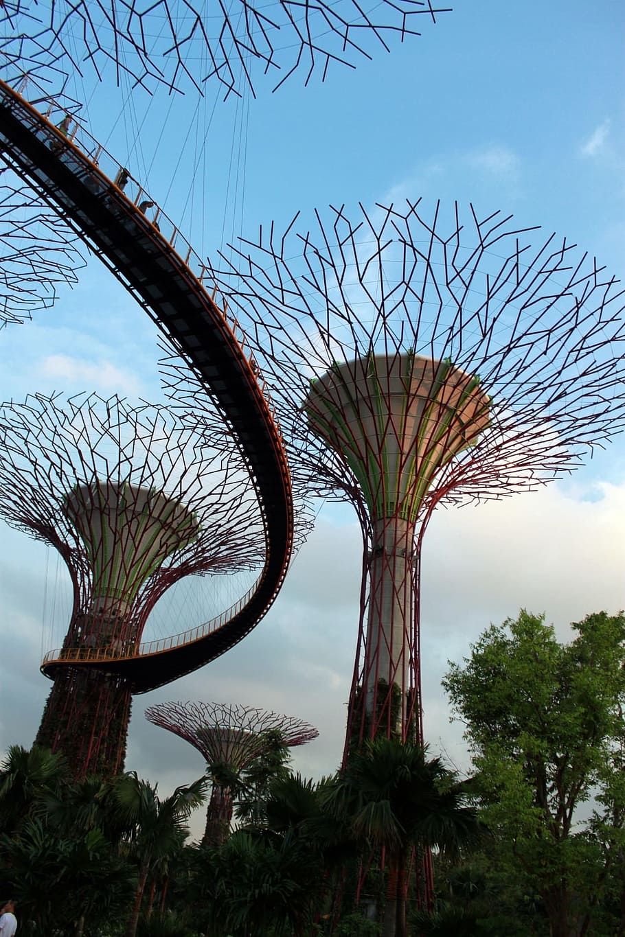 싱가포르, 나무, 하늘, 밤, 경계표, 공원, 아시아, 현대, 예술적, 삽화