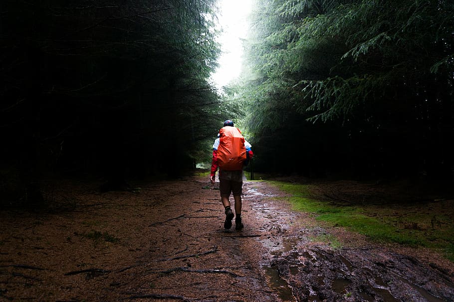 man, carrying, backpack, walking, brown, dirt, men, trees, grass, rain
