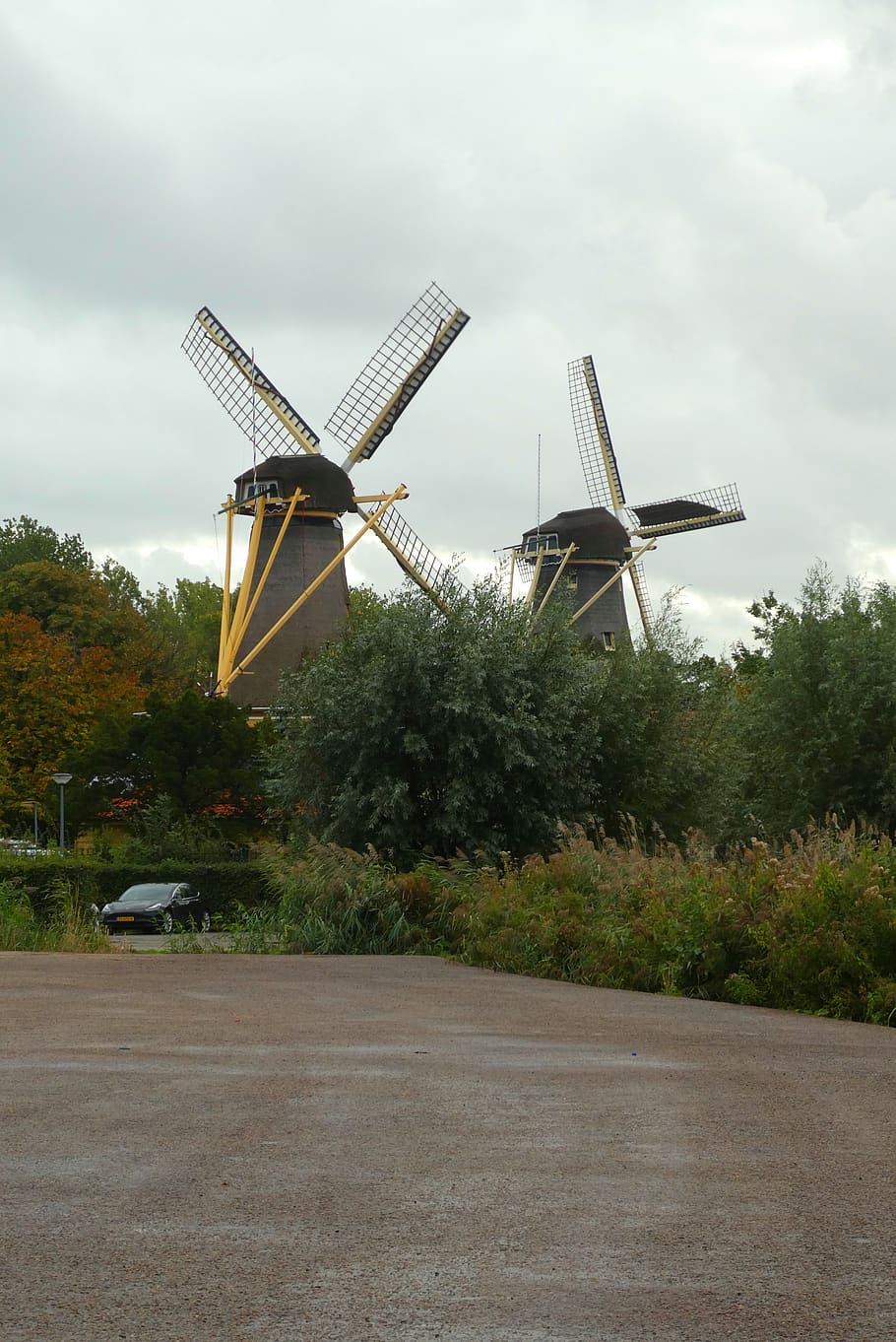 mills, rotterdam, netherlands, wicks, architecture, forest kralingse bos, mill blades, windmills, tree, renewable energy