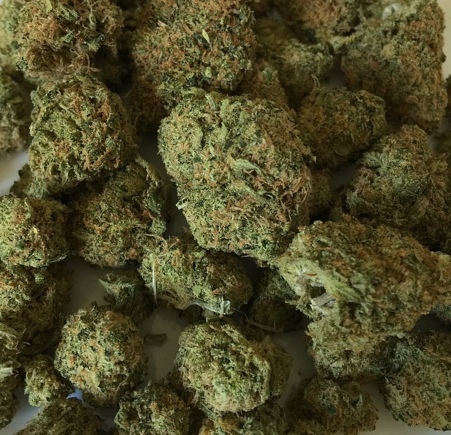 green kush lot, cannabis, marijuana, weed, drug, hemp, medicine, plant, medical, narcotic