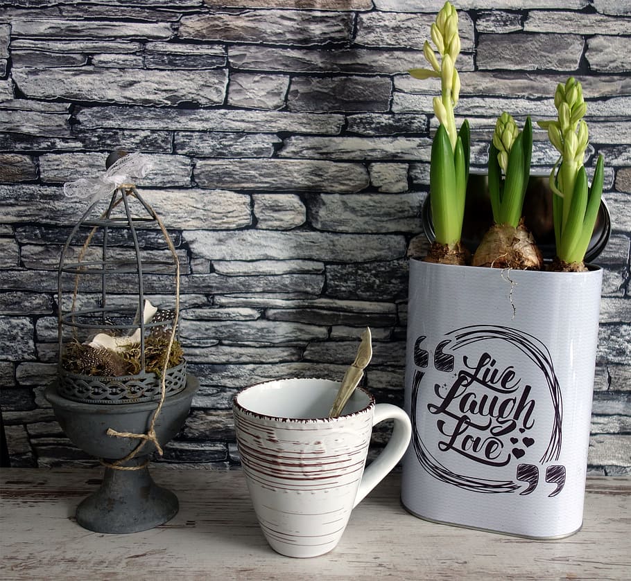 gray, ceramic, vase, white, cup, steel pot, green, plants, green plants, vintage