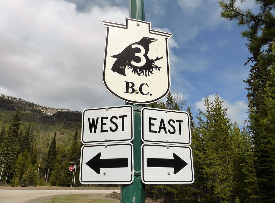 road sign, raven, crow, black, bird, route, highway, arrows, tour, canada