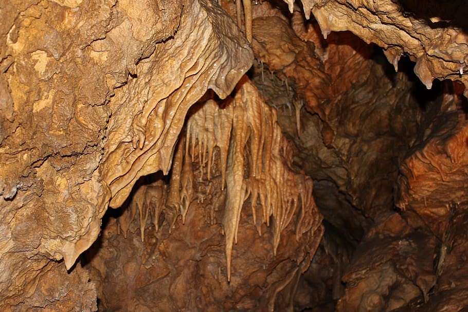 cave, czech republic, mountains, stalactites, tour, textured, close-up, tree trunk, trunk, tree