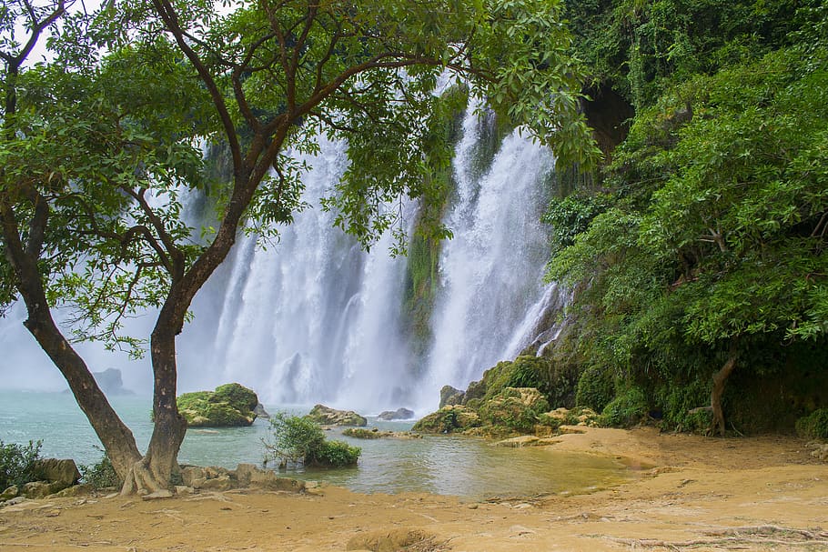 vietnam, waterfall, tree, paradise, natural, scenery, water, travel, outdoors, forest