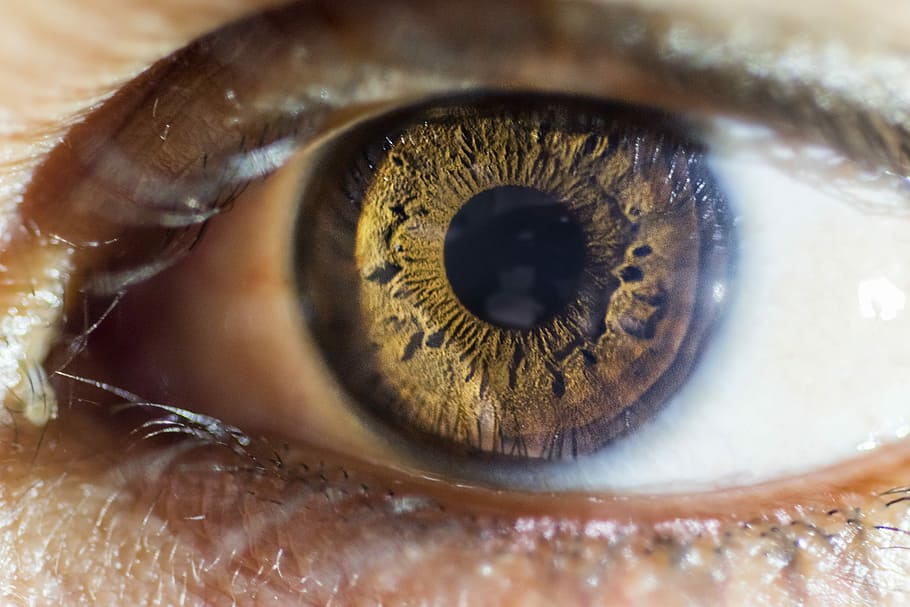 close-up photo, human, brown, eye, Eyes, Macro, Desert, deep, human eye, eyesight