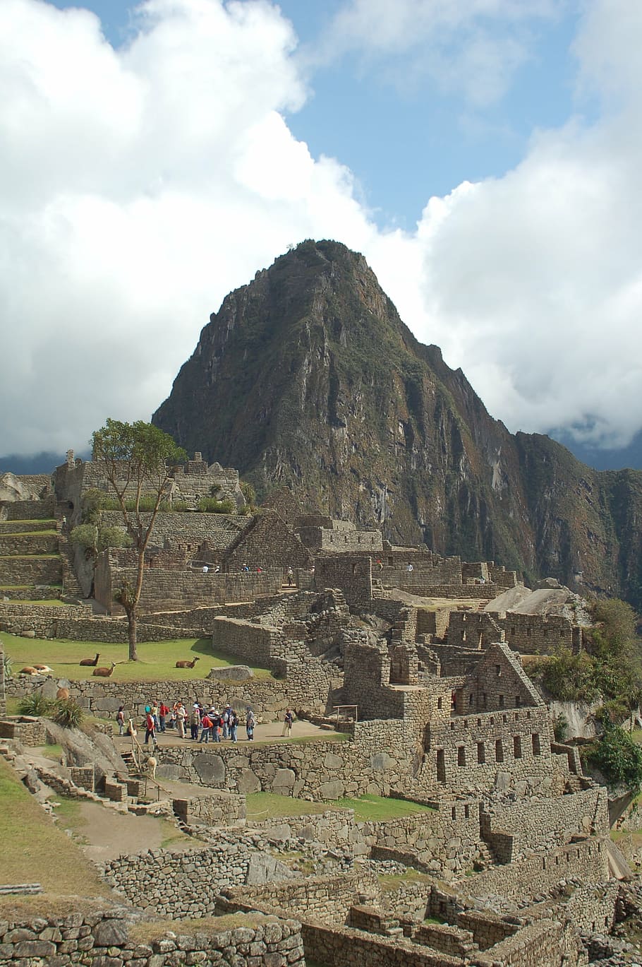 wayna picchu, macchu picchu, cusco, peru, cusco City, inca, machu Picchu, mountain, urubamba Valley, andes