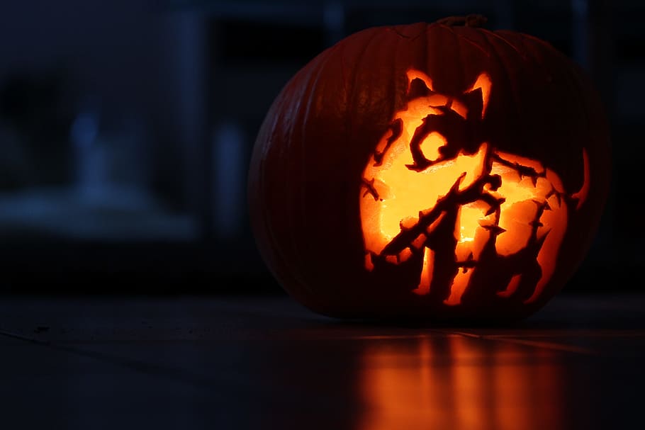 lighted dog jack-o'-lantern, Pumpkin, Halloween, Frankenweenie, zombie dog, sparky, bright, hollow out, autumn, orange