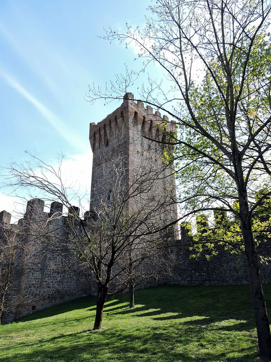 torre, walls, green, tree, sky, nature, fortification, castle, middle ages, este