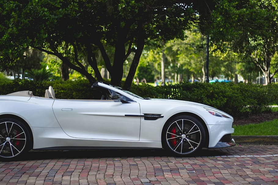 белый, Aston martin volante, припаркованный, дерево, спорт, автомобиль, колесо, средство передвижения, Роскошь, растение