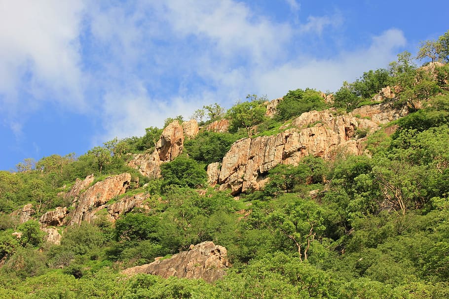 montañas, verde, plantas, rocas, piedras, rocoso, paisaje, colinas, ladera, azul