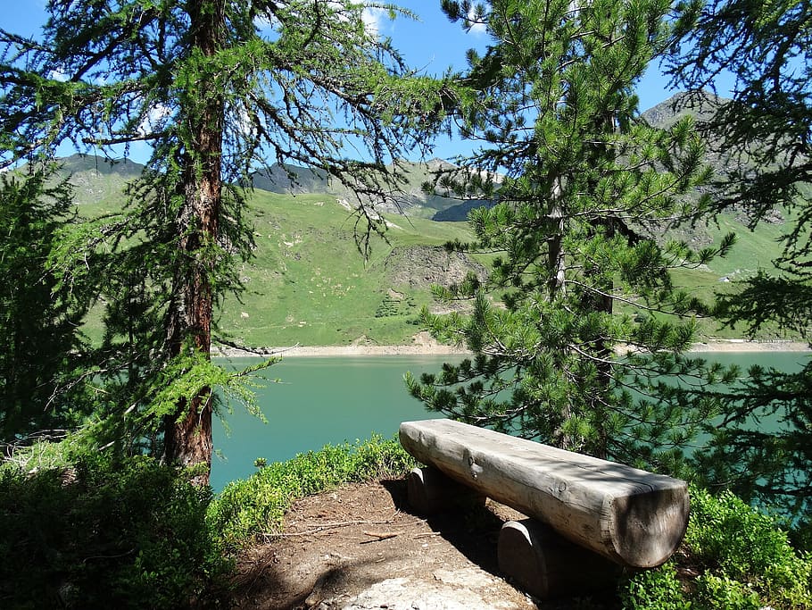 bench, rest, enjoy, wooden bench, bergsee, nature, relax, recover, alpine, conifer