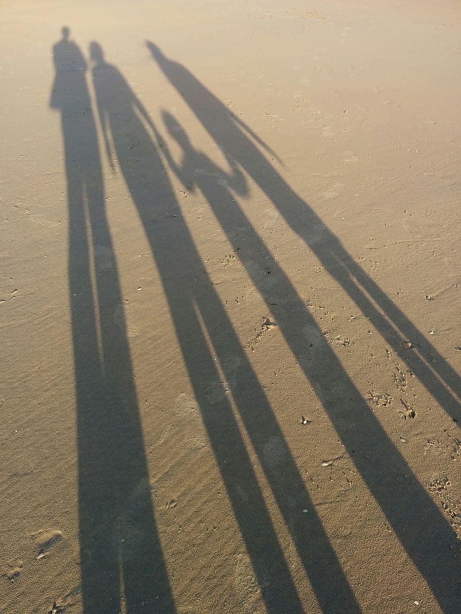 sand, beach, shadow, sunshine, family, sunset, children, parents, group, coast