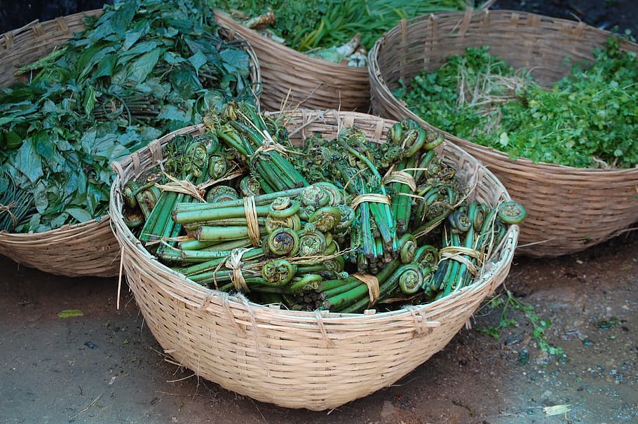 bhutan, fiddlehead ferns, organic, container, basket, green color, vegetable, food and drink, wicker, food