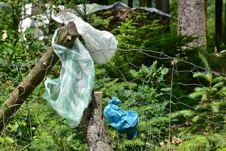 tres, bolsas de plástico, colgado, cerca, basura, desechos plásticos, desechos, eliminación de desechos, protección del medio ambiente, naturaleza