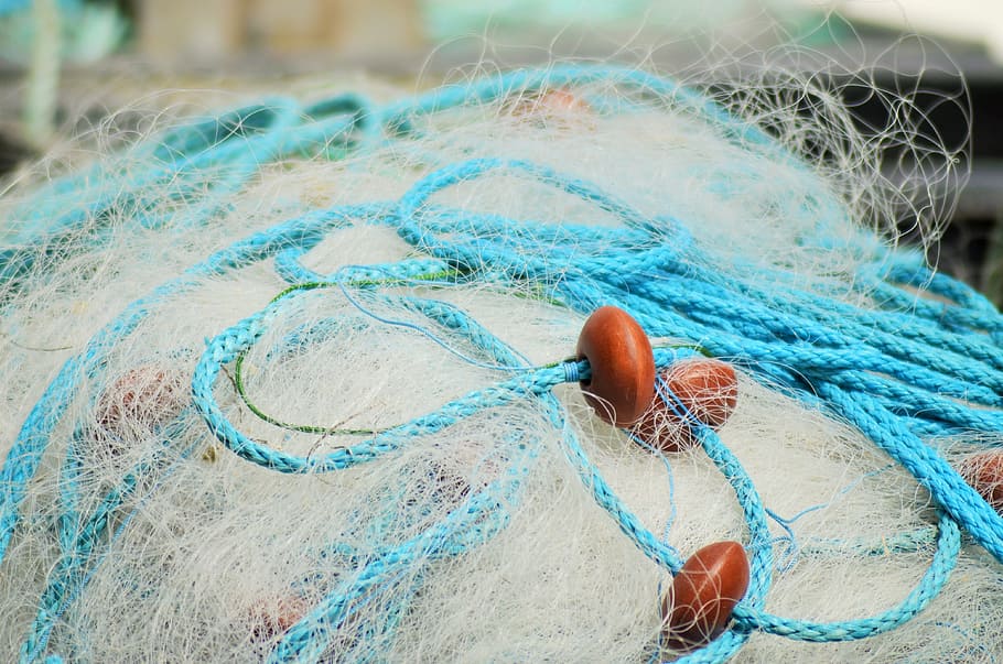 Fishing Nets, France, net, fishing, fisherman, sea, fishing port, marin, rope, fisherman boat