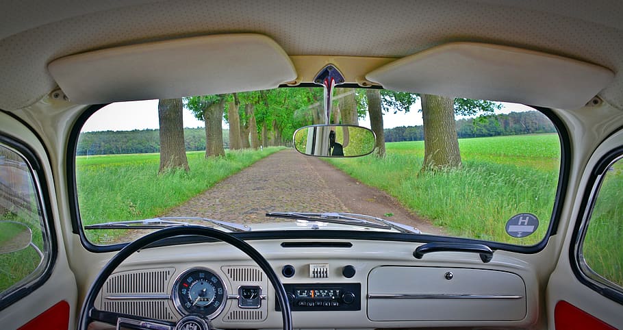 car, dirt road, grass field, white, black car, interior, vw, beetle, vw beetle, classic