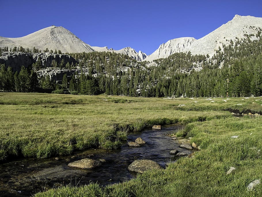 crabtree meadows, sequoia, national, park, Crabtree, Meadows, Sequoia National Park, California, creek, landscape